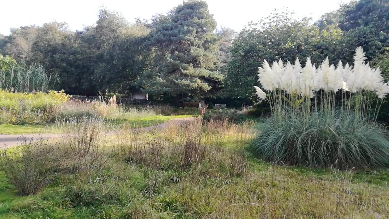 Many Worlds Meet - Eurostar, Wimbledon 30 Mins, Central London, Gatwick 15 Mins - Spacious, Sleeps Up To 16 Plus Cot - Free Wifi, Parking - Next To Lloyd Park, Great For Families, Walkers, Relocators - Ideal For Contractors Croydon Exterior foto