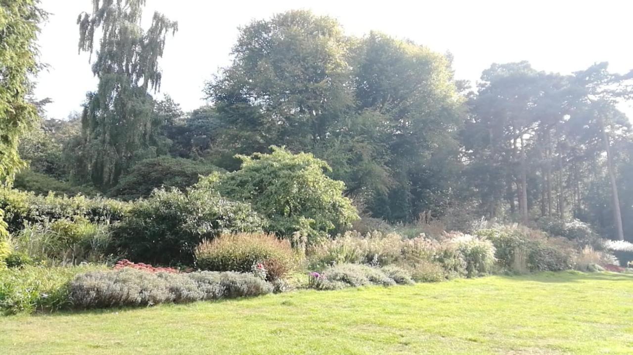 Many Worlds Meet - Eurostar, Wimbledon 30 Mins, Central London, Gatwick 15 Mins - Spacious, Sleeps Up To 16 Plus Cot - Free Wifi, Parking - Next To Lloyd Park, Great For Families, Walkers, Relocators - Ideal For Contractors Croydon Exterior foto