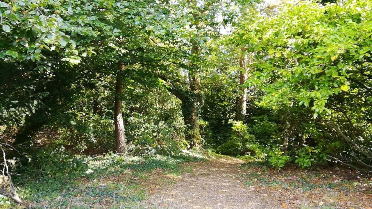 Many Worlds Meet - Eurostar, Wimbledon 30 Mins, Central London, Gatwick 15 Mins - Spacious, Sleeps Up To 16 Plus Cot - Free Wifi, Parking - Next To Lloyd Park, Great For Families, Walkers, Relocators - Ideal For Contractors Croydon Exterior foto