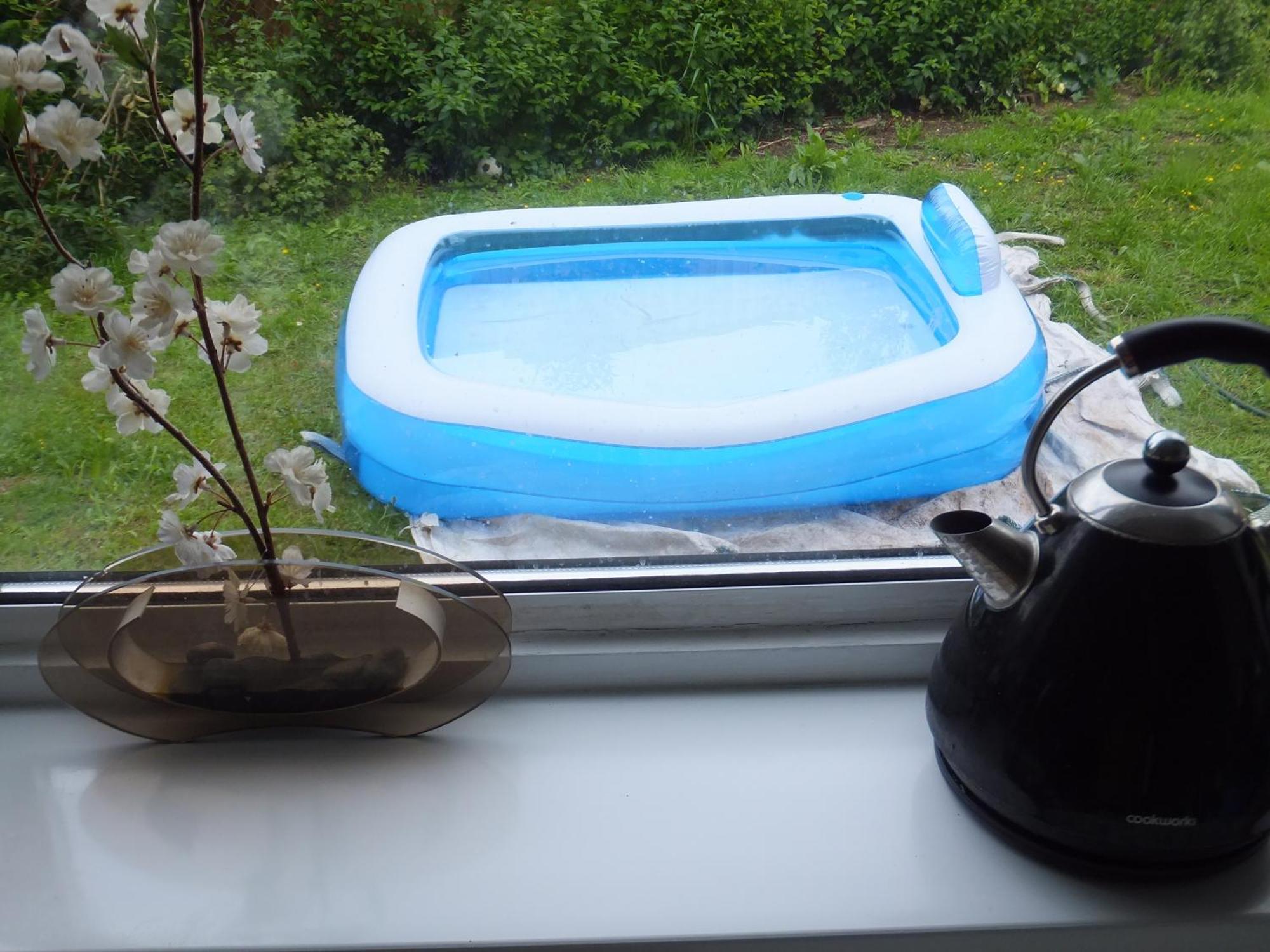 Many Worlds Meet - Eurostar, Wimbledon 30 Mins, Central London, Gatwick 15 Mins - Spacious, Sleeps Up To 16 Plus Cot - Free Wifi, Parking - Next To Lloyd Park, Great For Families, Walkers, Relocators - Ideal For Contractors Croydon Exterior foto